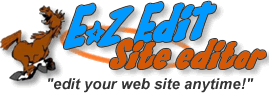 edit your website